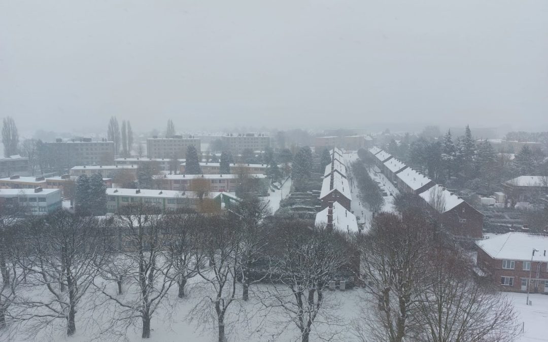 Sneeuw in onze buurt