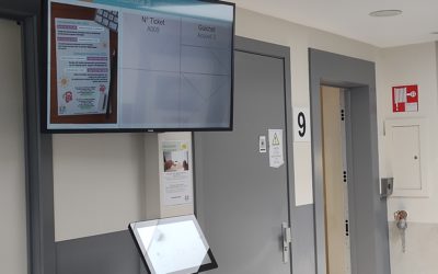 Nouveauté chez Everecity