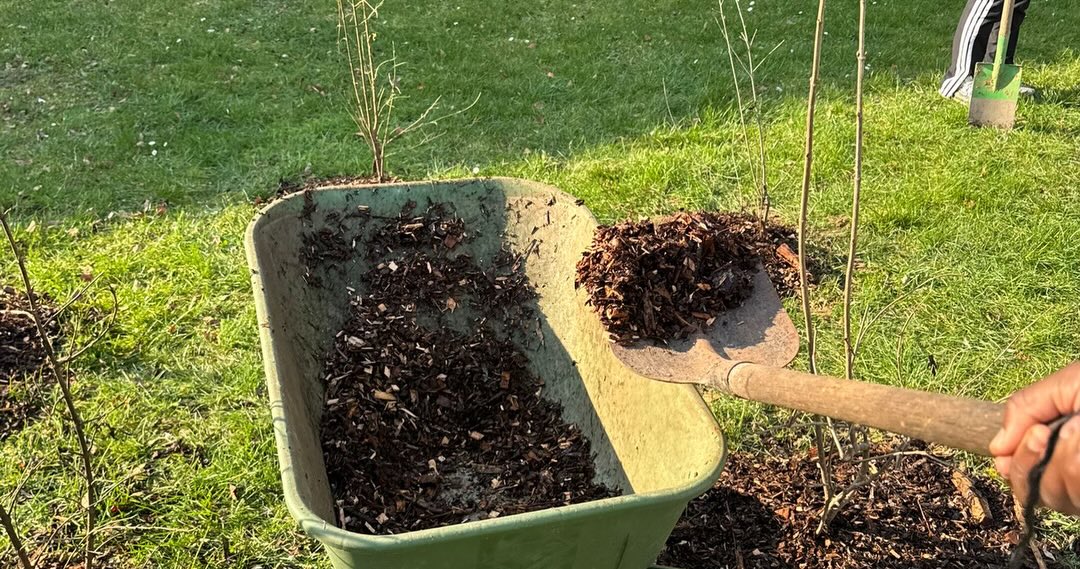 Verdurisation du quartier Platon : un projet collaboratif pour plus de fraîcheur et de biodiversité