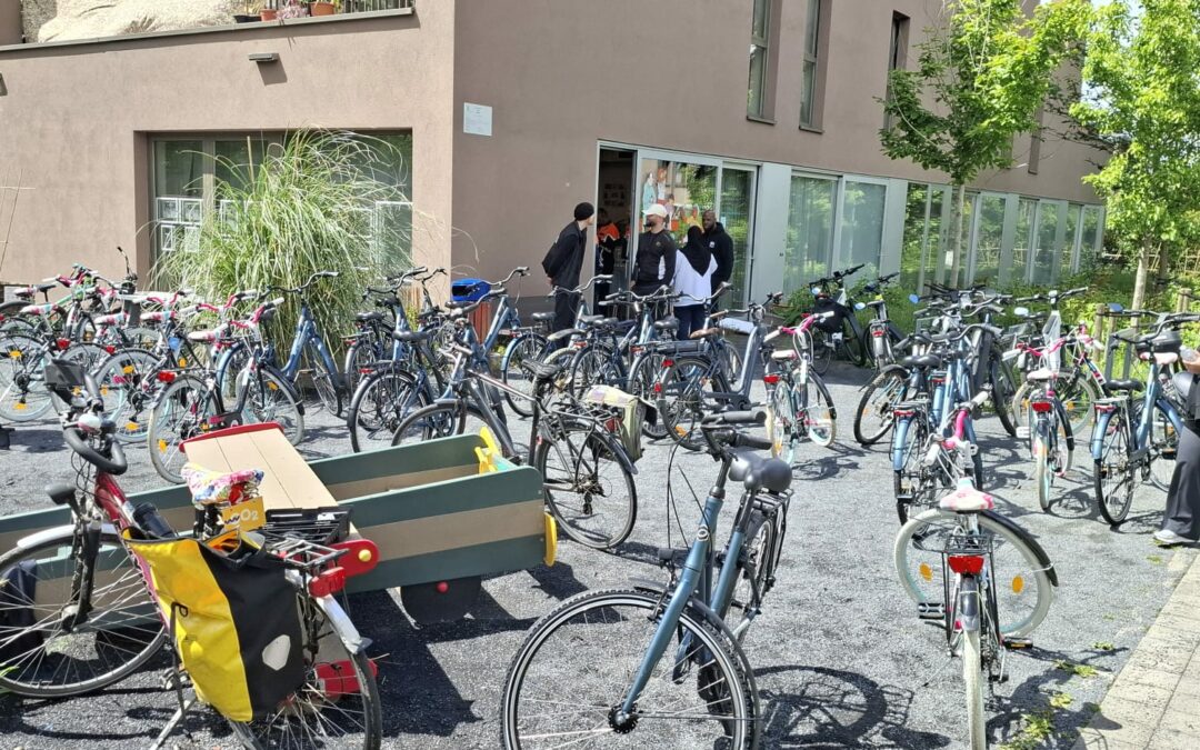 Vélo Solidaire à Everecity : une balade intergénérationnelle pour apprendre en pédalant